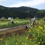 みんなで農園作業開始